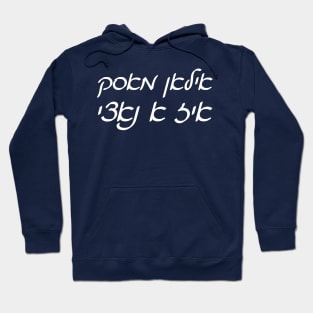 Elon Musk Is A Nazi (Cursive Yiddish) Hoodie